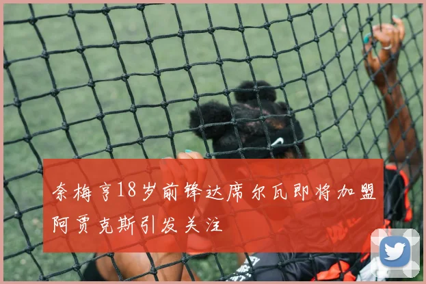 奈梅亨18岁前锋达席尔瓦即将加盟阿贾克斯引发关注