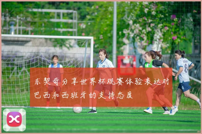 东契奇分享世界杯观赛体验表达对巴西和西班牙的支持态度