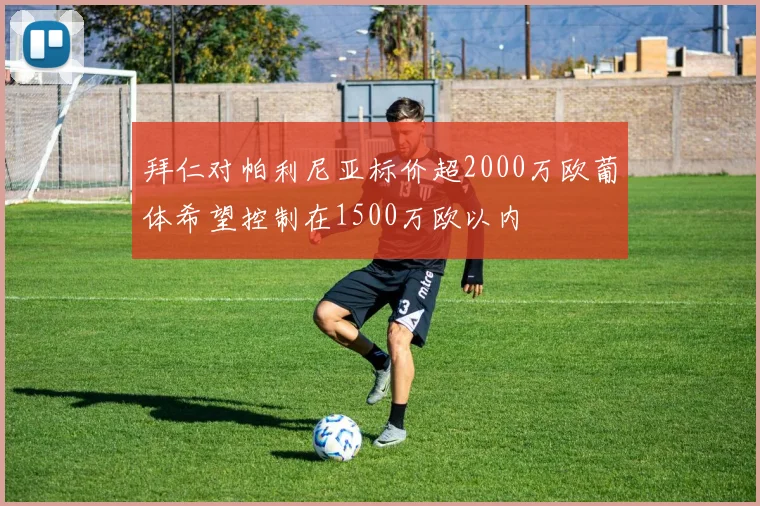 拜仁对帕利尼亚标价超2000万欧葡体希望控制在1500万欧以内